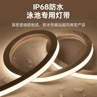 戶外防水泳池燈帶IP68一體注塑成型低壓15x16正發光 - 4